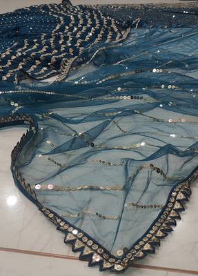Blue georgette lehenga choli with silver sequin embroidered 5