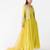 Lime embroidered raw silk anarkali