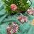green gold crush embroidered cut work saree
