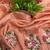 peach gold crush embroidered cut work saree