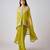 Lime embroidered georgette cape set