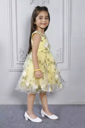 Yellow butterfly embellished tissue party frock