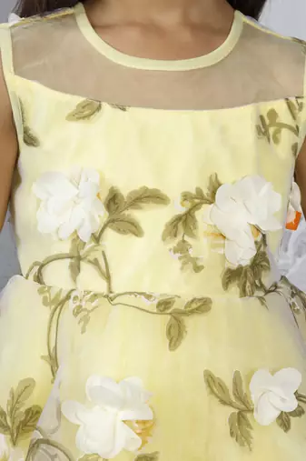 Yellow butterfly embellished tissue party frock