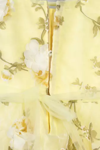 Yellow butterfly embellished tissue party frock