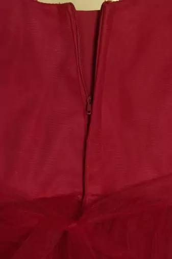 Red pleated bodice applique net wogen party frock