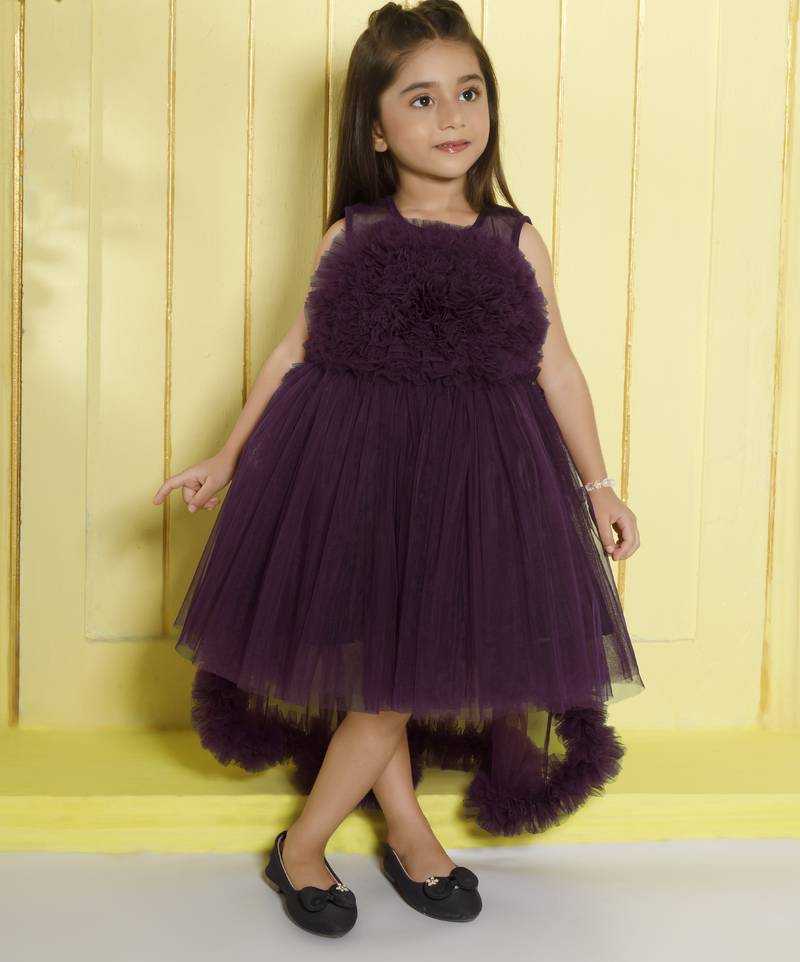Wine gathered bodice high low net woven party frock
