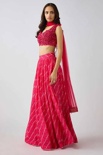 Pink  printed Organza Lehenga
