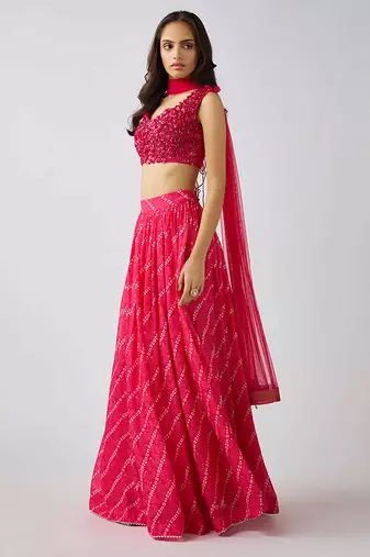 Pink  printed Organza Lehenga