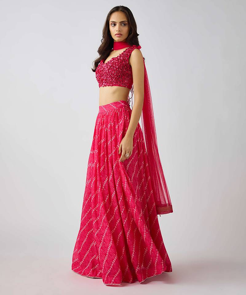 Pink  printed Organza Lehenga