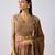 Brown Printed Chinon Lehenga
