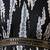 Black color poly georgette anarkali digital printed gown