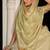 Light green tissue linen khatli handwork saree