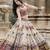 Traditional Multicolor Mirror Work Lehenga Set with Printed Dupatta