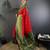 Red silk blend butti zari weaving banarasi saree with woven saree