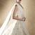 off white zari and sequins embroidered georgette lehenga choli