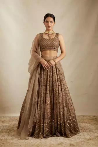 Brown sequin embroidered net lehenga choli