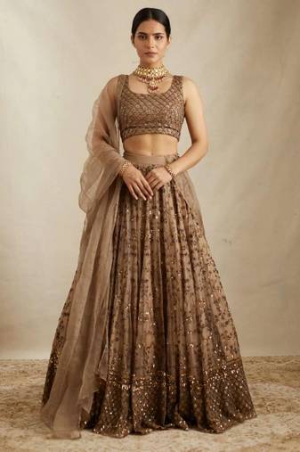 Brown sequin embroidered net lehenga choli