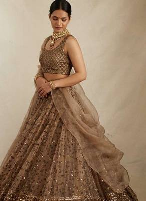 Brown sequin embroidered net lehenga choli 2