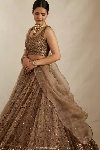 Brown sequin embroidered net lehenga choli