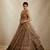 Brown sequin embroidered net lehenga choli