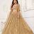 Light Brown Sequins Net  Lehenga Choli