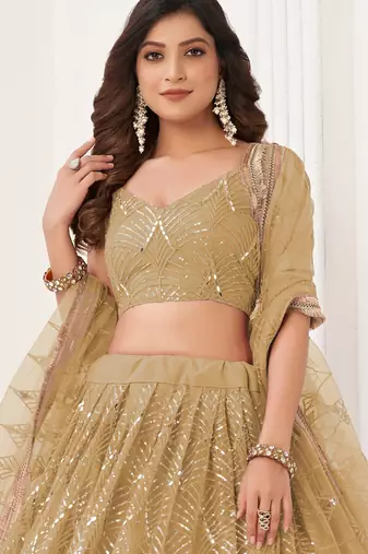 Light Brown Sequins Net  Lehenga Choli