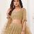 Light Brown Sequins Net  Lehenga Choli