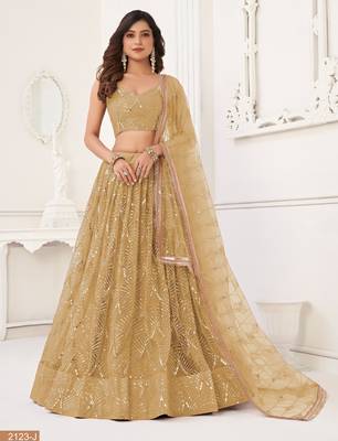 Light Brown Sequins Net  Lehenga Choli 2