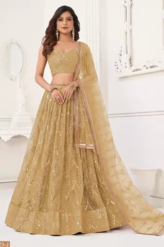 Light Brown Sequins Net  Lehenga Choli