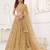 Light Brown Sequins Net  Lehenga Choli