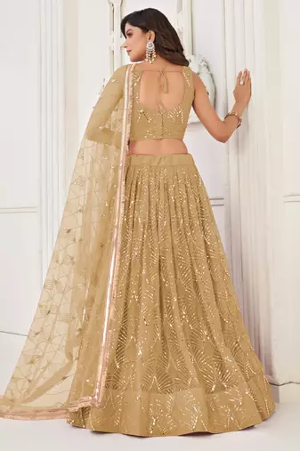 Light Brown Sequins Net  Lehenga Choli