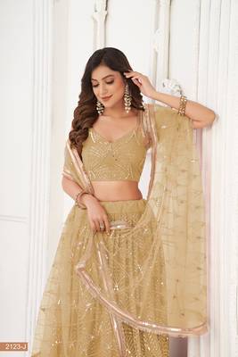 Light Brown Sequins Net  Lehenga Choli 5