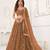 Dark Brown Net With sequins and thread embroidered  Lehenga Choli