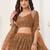 Dark Brown Net With sequins and thread embroidered  Lehenga Choli