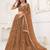 Dark Brown Net With sequins and thread embroidered  Lehenga Choli