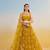 Mustard yellow net with sequin & thread embroidery Lehenga Choli