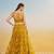 Mustard yellow net with sequin & thread embroidery Lehenga Choli