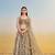 Ivory net lehenga with sequins and thread embroidery work