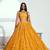 Yellow net lahenga with sequins and thread embroidered Lehenga Choli