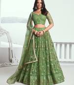 Pista green net lahenga with sequins and thread embroidered Lehenga Choli