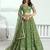 Pista green net lahenga with sequins and thread embroidered Lehenga Choli