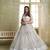 Light gray net lahenga choli with sequins and thread embroidered Lehenga Choli