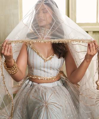 Light gray net lahenga choli with sequins and thread embroidered Lehenga Choli 4