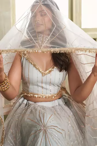 Light gray net lahenga choli with sequins and thread embroidered Lehenga Choli