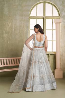 Light gray net lahenga choli with sequins and thread embroidered Lehenga Choli 5
