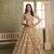 Beige net lahenga choli with sequins and thread embroidered  Lehenga Choli