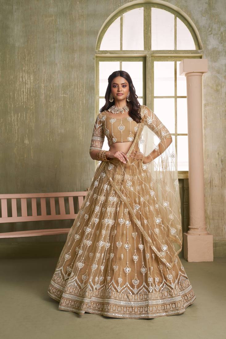 Beige net lahenga choli with sequins and thread embroidered  Lehenga Choli