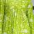 Cotton stunning fancy tunic top