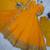 Yellow Color Faux Georgette Embroidered And Sequence Work Long Kurti(Gown)