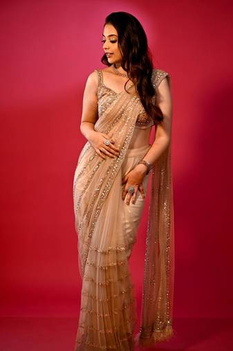 Chiku Color Dual sequin Embroidery Work Net Saree